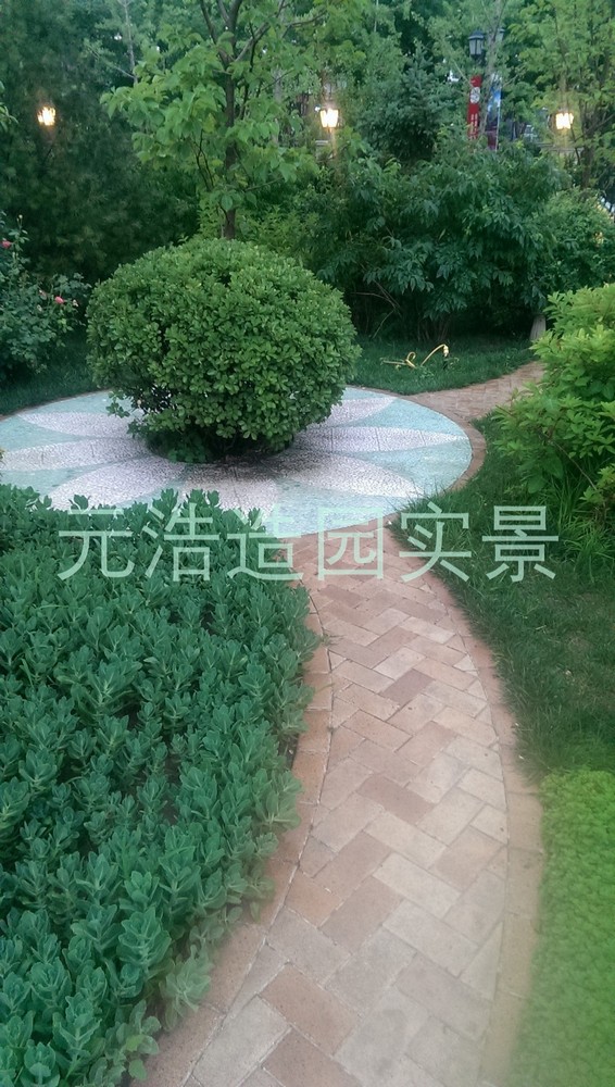 图片1